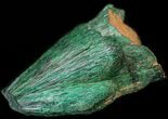 Silky, Fibrous Malachite Crystals - Morocco #42035-1